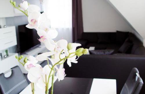 La Domus Premium Osnabrück Lotte - Foto 1