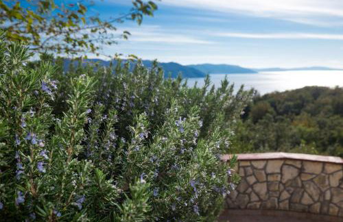 Apartman Fonovici - Foto 10