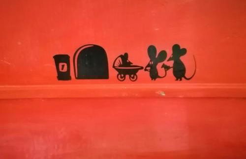 La Casa de Colores - Foto 24