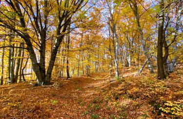 Bel appartement avec jardin - Foto 32