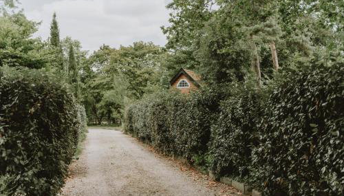 Restaries at Paradise Farm - Foto 3