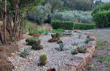 La Selvarella - Foto 43