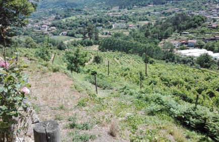 Quinta da Mata - Foto 15