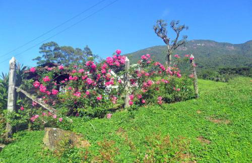 Fazenda Monte Verde a Morada do Muriqui - Foto 53