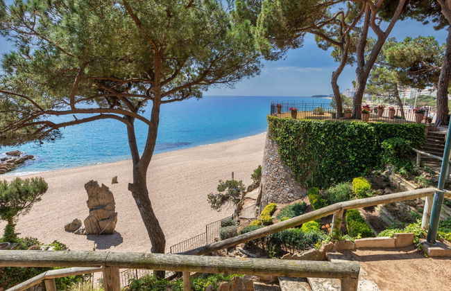 Cavall Bernat - Foto 16