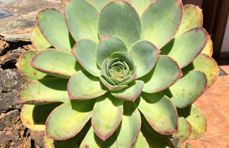 Casa La Fuente - Foto 20