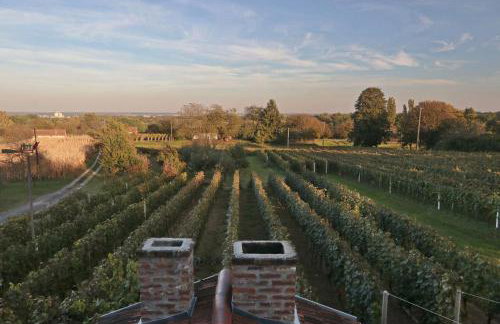 Apartment Wine Tale - Foto 7