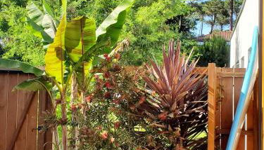 La Suite du Jardin - Villa 5 etoiles - Foto 4