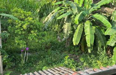 Minha casa - Foto 14