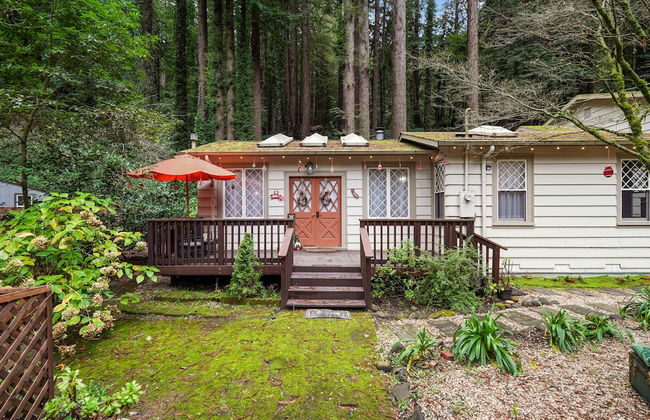 Pacific Coast Redwoods Cabin for Family - Foto 69