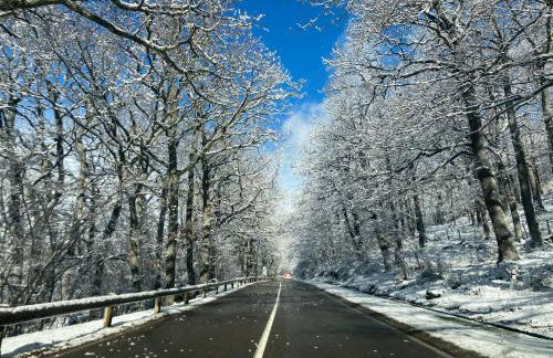 Los Chozos de la Braña - Foto 63