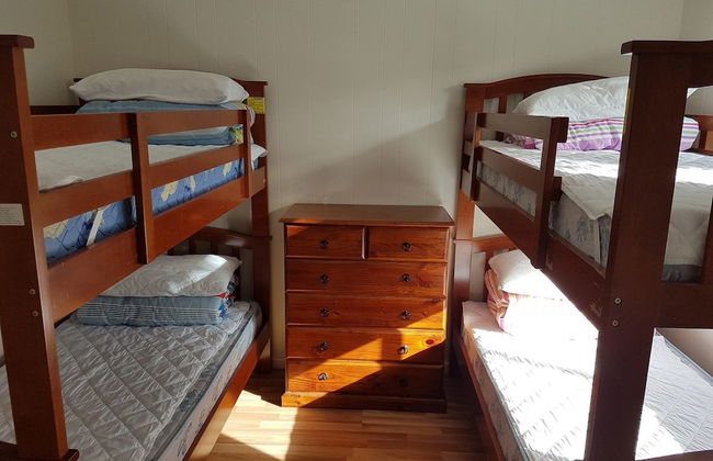 53 Honeysuckle in Silverleaves - Foto 3