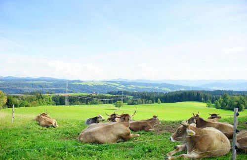 RELAX - APPARTEMENTS, Allgäu - Foto 7