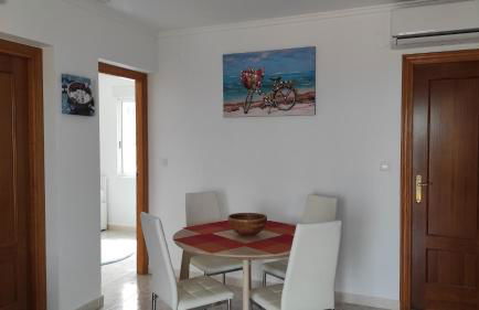 Apartamento Vista Magnifica - Foto 31