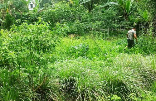 Sítio Preguiça - Foto 26