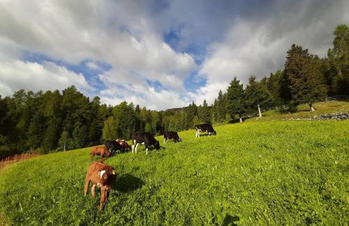 Joshof Bergblick - Photo 31