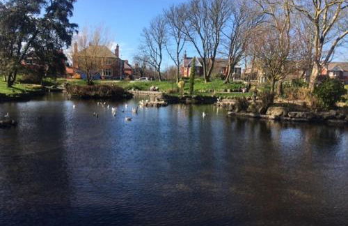 Woodlands Holiday Apartments - Foto 50