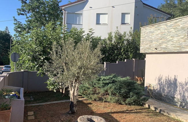 Apartment King - Photo 15