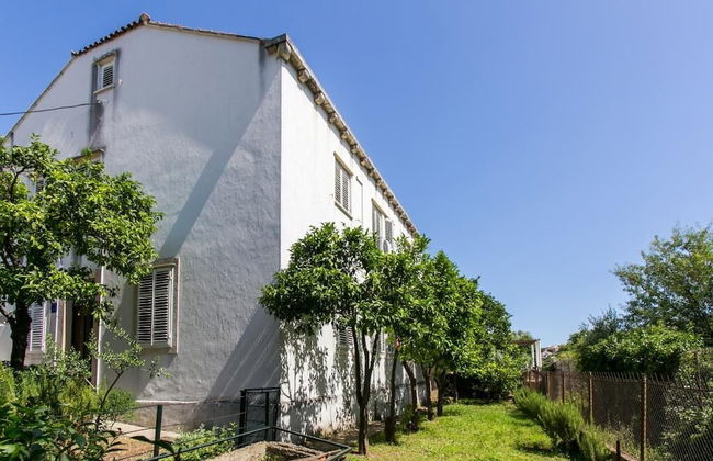 Apartment Blue & Green - Foto 22