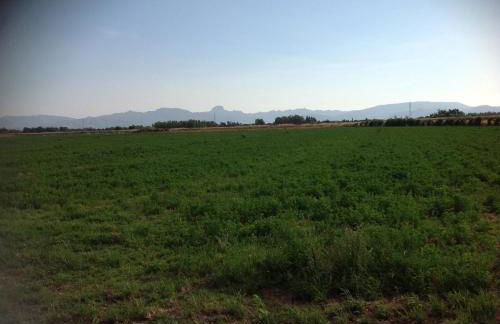 Pisceneris Holiday Home - Foto 6