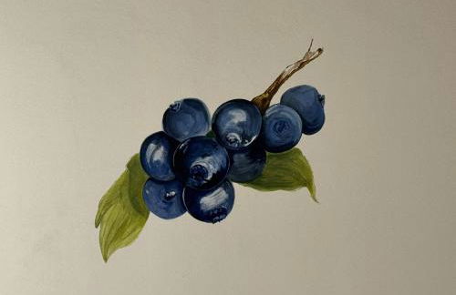 Agriturismo Brusignone - Foto 26