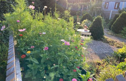 Bei uns im Allgäu - Ferienwohnungen für Erholung und Aktivität - Foto 53