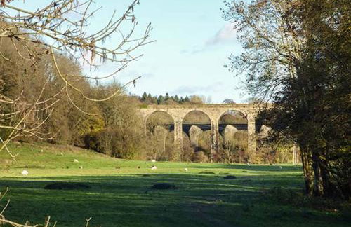 Little Cow House - Foto 29