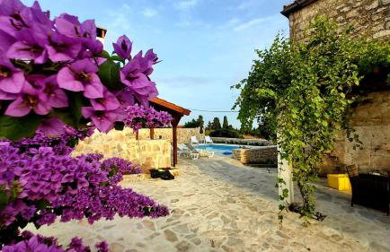 Villa Roza - Photo 7