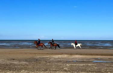 Beautiful Beach House - Foto 42