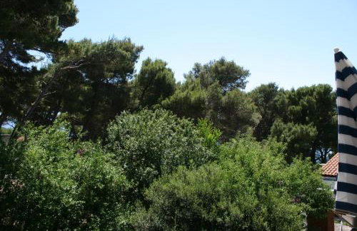 Apartments by the sea Zaostrog, Makarska - 6799 - Foto 29