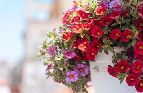 Apartamentos La Moneda - Foto 11