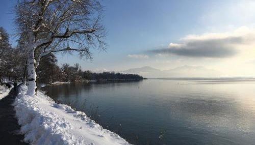 Sylvia Helene Lafrenz - Photo 5