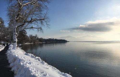 Sylvia Helene Lafrenz - Photo 5