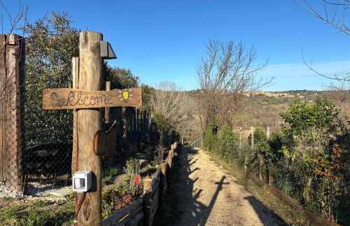 Castello Miani - Foto 11