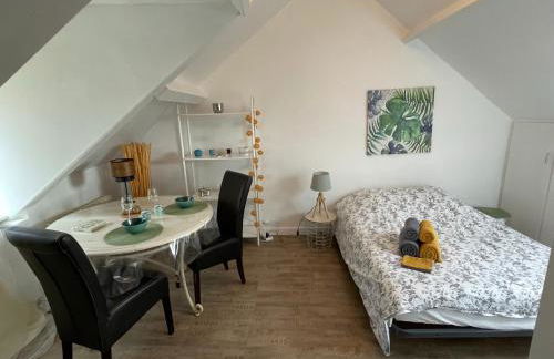 Le cocon jaune - Studio en hyper centre - Photo 1