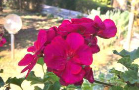 Villa Ioanna - Foto 4