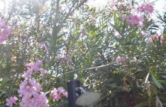 Podere dell'Anselmo - Foto 124