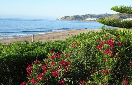 Casa del Mar Vera Costa - Foto 29