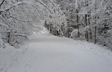 Majkowiczówka - Photo 23