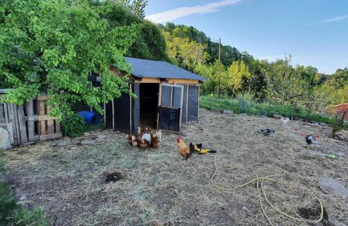Traditional Stone House in Kissos Pelion - Foto 22