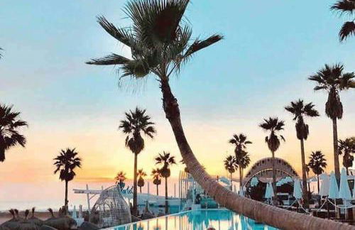 Ruzafa experience Oceanografic ciencias - Photo 21