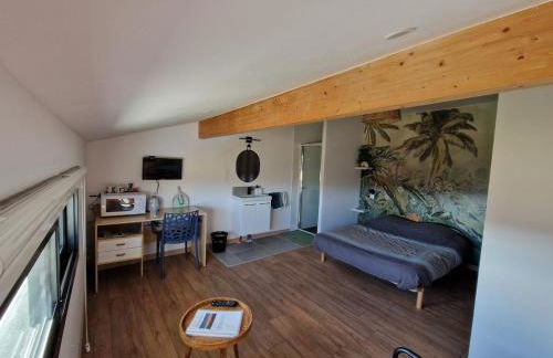 Studio Pyrenées - Photo 6