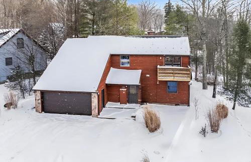 The Magic Teacup - Photo 1