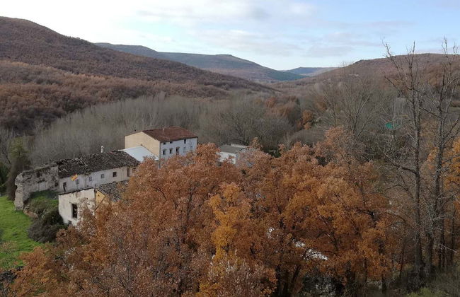 Quejigares de Barriopedro & Brihuega Hiking Tour - Photo 4