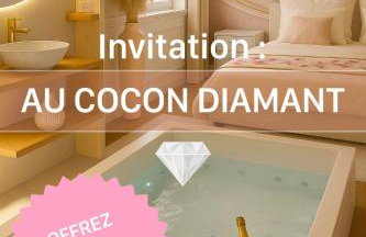 Cocon Diamant - Nuit Romantique - Jacuzzi et Sauna - Hyper-Centre - Foto 54