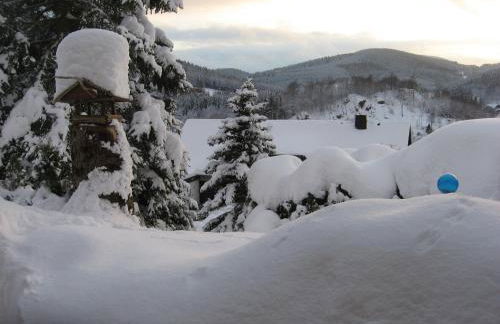 Ferienhaus Schröder - Foto 12