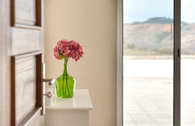 Feel Discovery Quinta do Muro - Foto 15