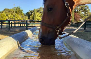 Casa da Vinha - Foto 25