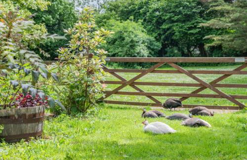 2 Bed in Blandford Forum oc-88193 - Photo 15