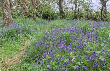Cosy country getaway, 5 mins from the sea - Photo 25